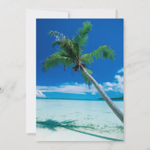 Tropical Beaches   Motu Tofari Beach, Bora Bora Thank You Card
