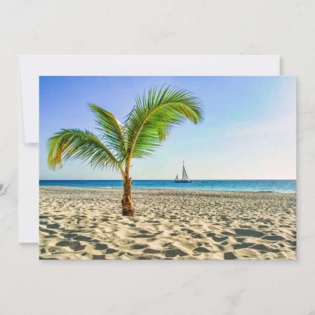 Tropical Beaches | Sailboat, Palm Tree, Aruba Thank You Card (Front)