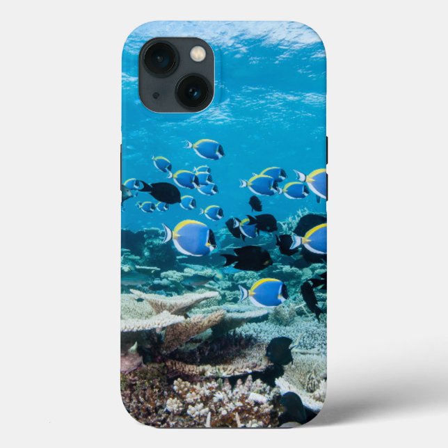 Tropical Beaches | Sturgeon Amongst Coral Case-Mate iPhone Case (Back)