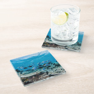 Tropical Beaches Sturgeon Amongst Coral Glass Coaster