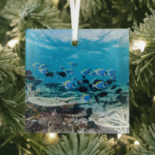 Tropical Beaches Sturgeon Amongst Coral Glass Tree Decoration