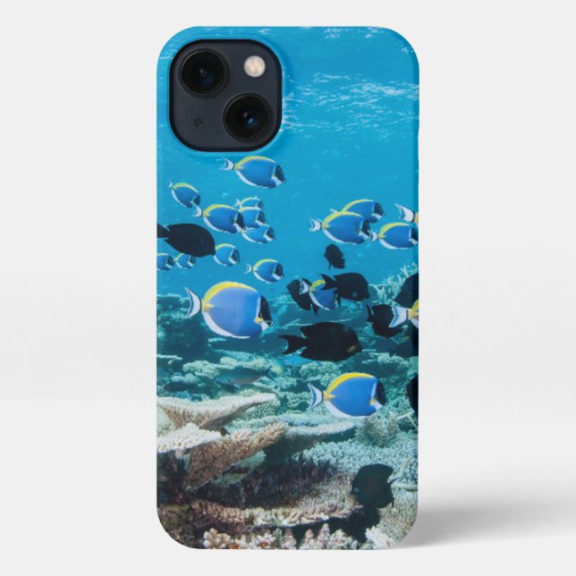 Tropical Beaches | Sturgeon Amongst Coral iPhone Case (Back)