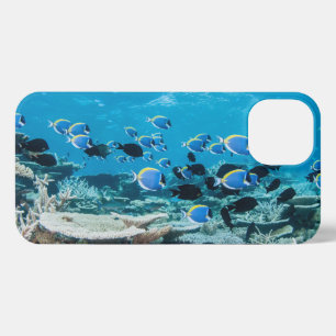 Tropical Beaches   Sturgeon Amongst Coral iPhone 13 Case