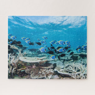 Tropical Beaches   Sturgeon Amongst Coral Jigsaw Puzzle