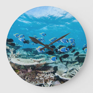 Tropical Beaches   Sturgeon Amongst Coral Large Clock