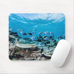 Tropical Beaches Sturgeon Amongst Coral Mouse Pad