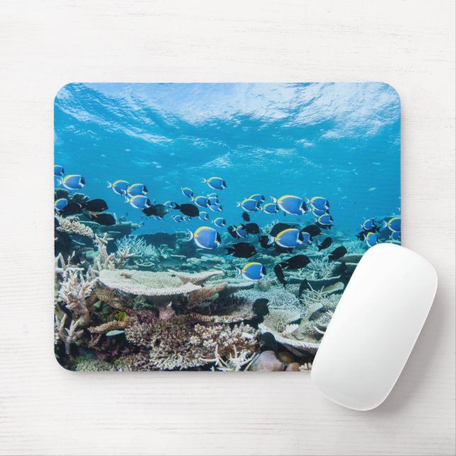 Tropical Beaches | Sturgeon Amongst Coral Mouse Pad (With Mouse)