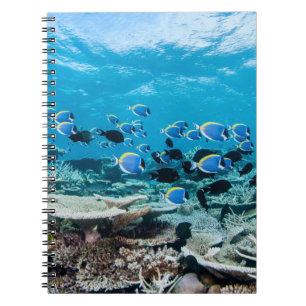 Tropical Beaches Sturgeon Amongst Coral Notebook