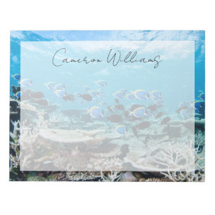 Tropical Beaches   Sturgeon Amongst Coral Notepad