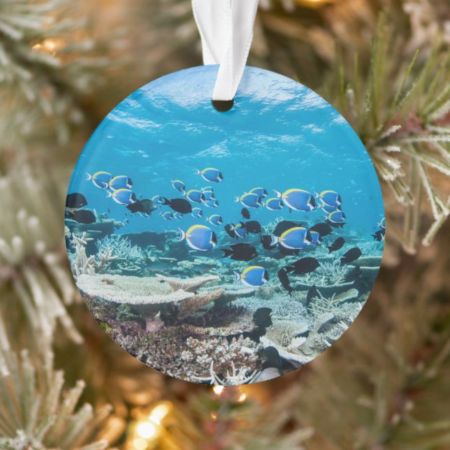 Tropical Beaches | Sturgeon Amongst Coral Ornament (Tree)