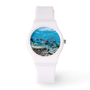 Tropical Beaches Sturgeon Amongst Coral Watch