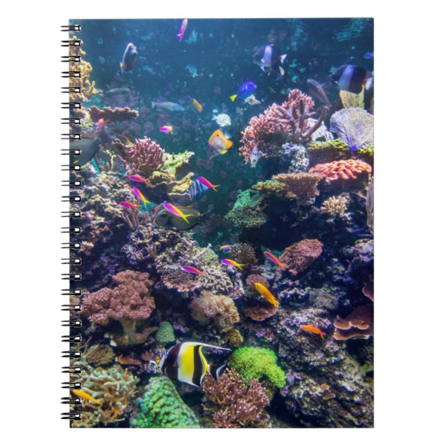 Tropical Beaches | Underwater Coral Reef Notebook (Front)