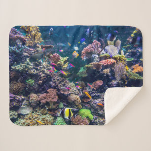 Tropical Beaches   Underwater Coral Reef Sherpa Blanket