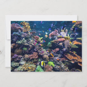 Tropical Beaches   Underwater Coral Reef Thank You Card