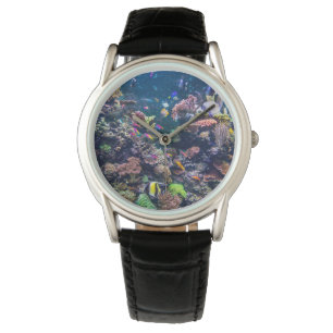 Tropical Beaches Underwater Coral Reef Watch