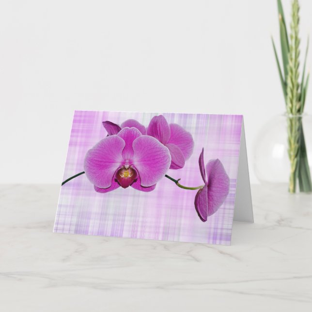 Tropical Beauty Card (Front)