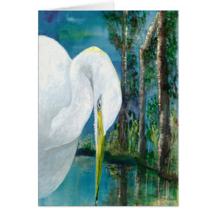 Tropical Bird