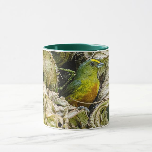  Tropical Bird Art Olive-Backed Euphonia Mug (Center)