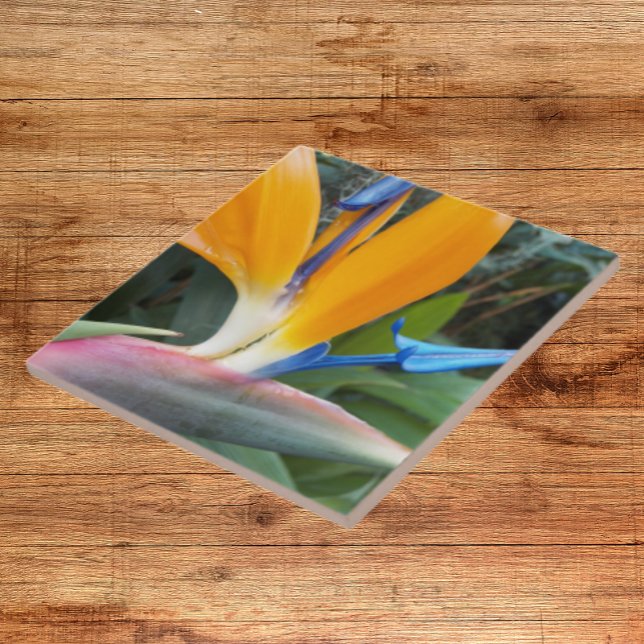 Tropical Bird of Paradise Bloom Floral Tile (In Situ)