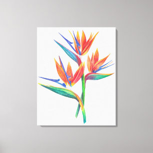 Tropical Bird Of Paradise Drawing Original Art Canvas Print