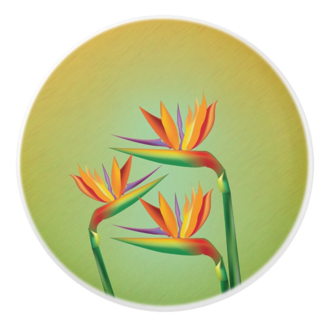 Tropical Bird of Paradise Floral Flowers Ceramic Knob (Front)