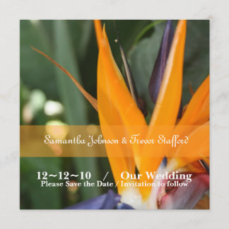 Tropical Bird of Paradise Wedding Announcements