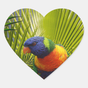 Tropical Bird Sticker