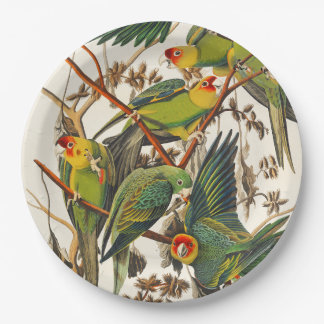 Tropical bird unique paper plates