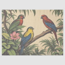 Tropical Birds Bold Illustration