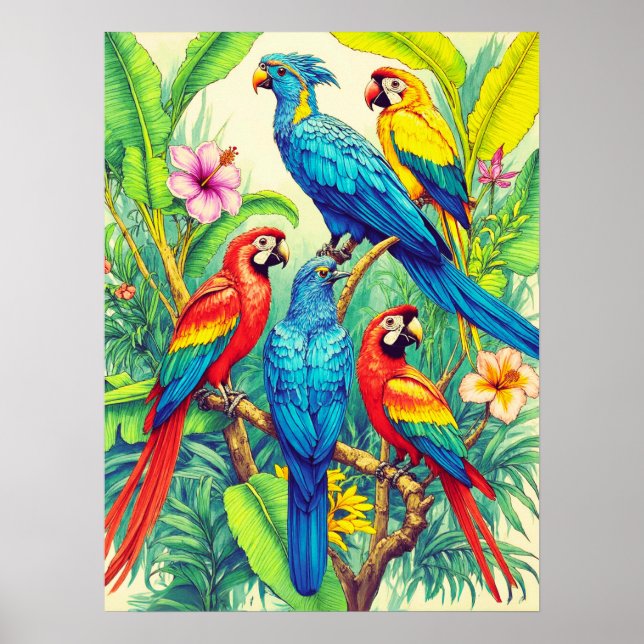 Tropical Birds Botanical Illustration Poster (Front)