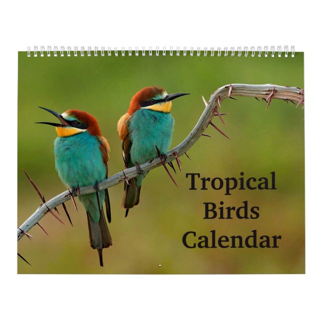 Tropical Birds Calendar (Cover)