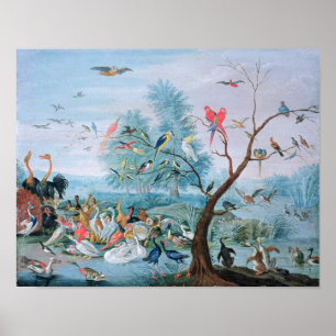Tropical birds in a landscape poster