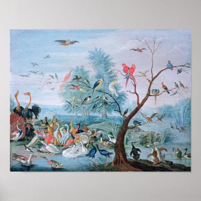 Tropical birds in a landscape poster (Front)