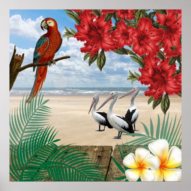 Tropical  Birds on the Beach Poster (Front)