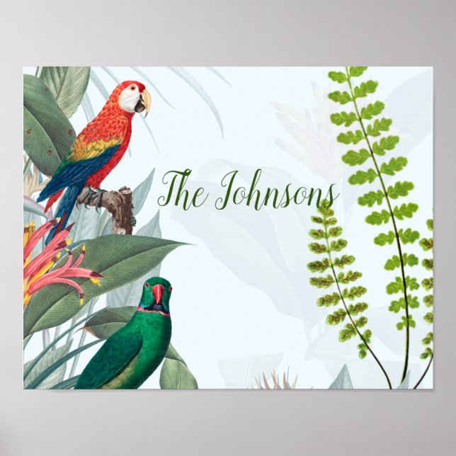 Tropical Birds Parrots & Foliage  Poster (Front)