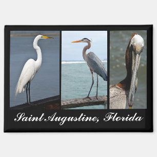 Tropical Birds St. Augustine, Florida Magnet