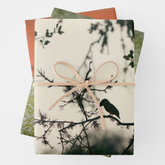 Tropical Birds Wrapping Paper Sheet