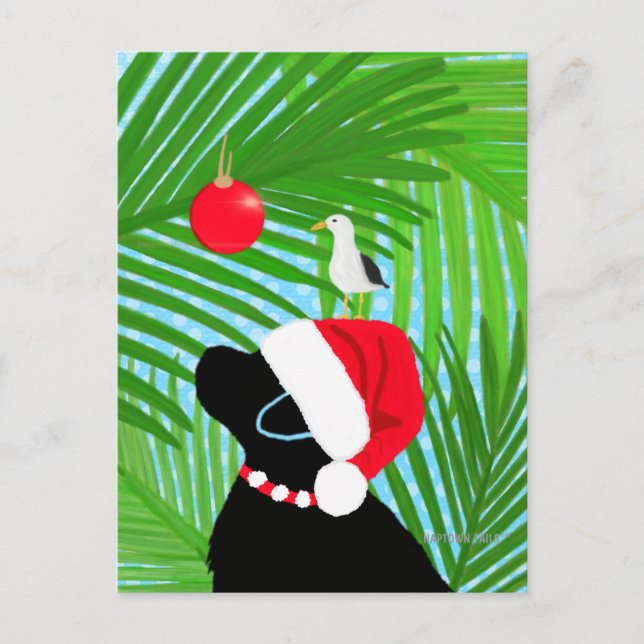 Tropical Black Lab Santa Christmas Postcard (Front)