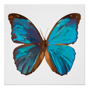 Tropical Blue and Turquoise Gem Butterfly Poster