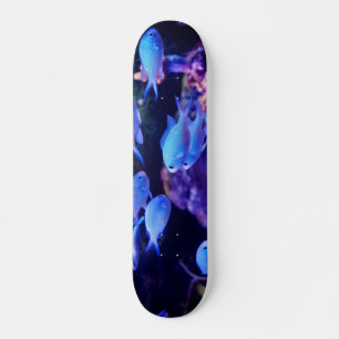 Tropical Blue Fish   Skateboard