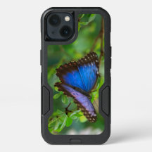 Tropical Blue Purple Butterfly