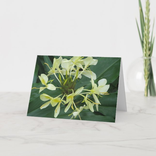 Tropical Botanical Flower Note Card (Front)