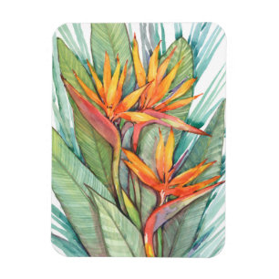 Tropical Botanical Paradise II Magnet