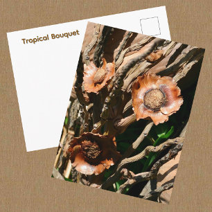 Tropical Bouquet Dried Coconut Botanical Postcard