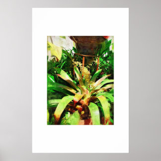 Tropical Bromeliads oil painting collection Poster