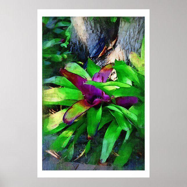 Tropical Bromeliads oil painting collection Poster (Front)