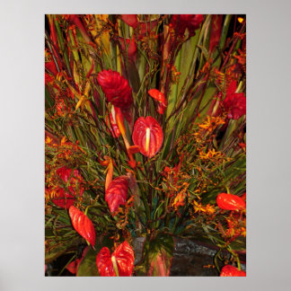 Tropical Burst Poster