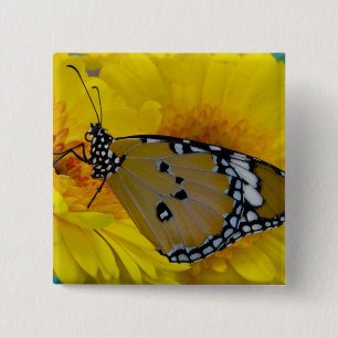 Tropical Butterflies 15 Cm Square Badge