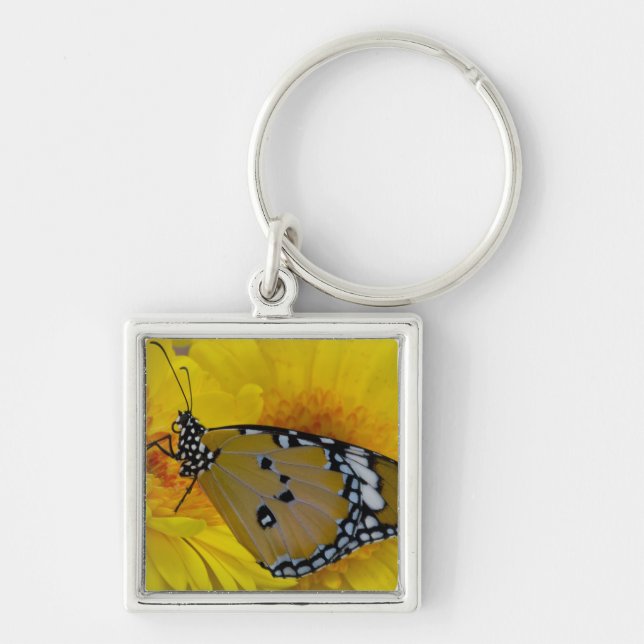 Tropical Butterflies Key Ring (Front)
