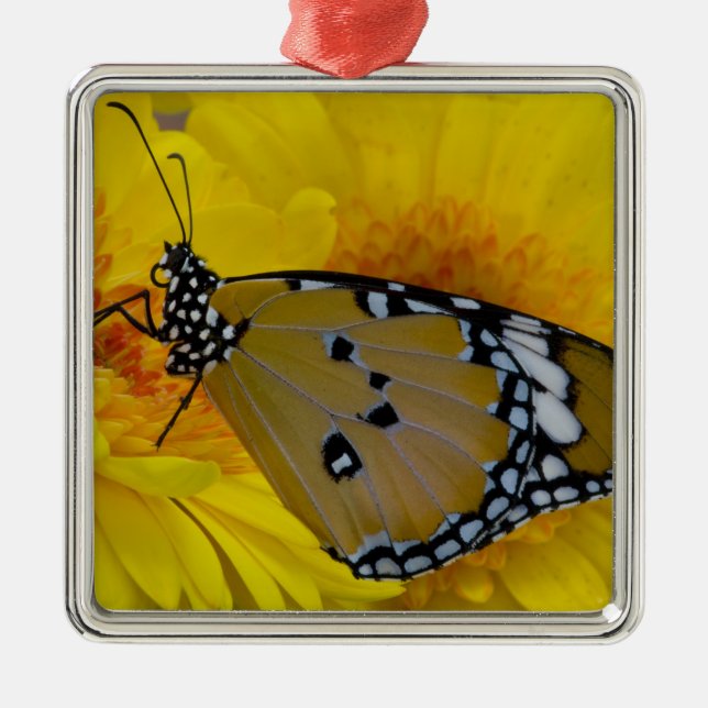 Tropical Butterflies Metal Tree Decoration (Front)